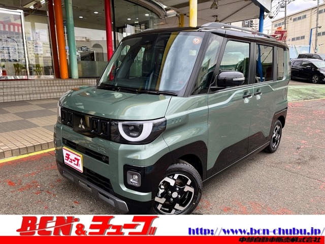 Mitsubishi Delica Mini 1
