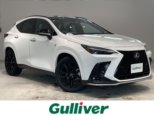 Lexus NX 1