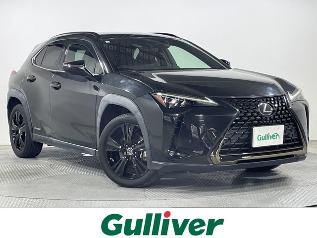 Lexus UX 1
