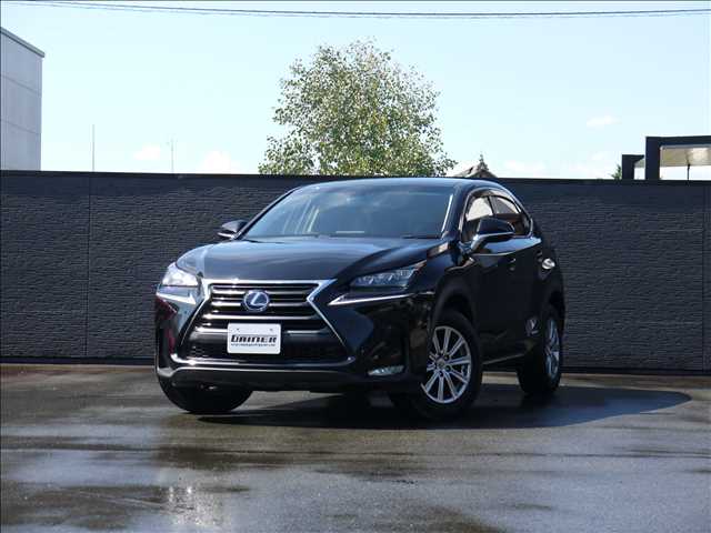 Lexus NX 1