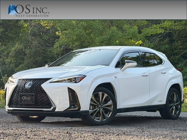 2019 Lexus UX