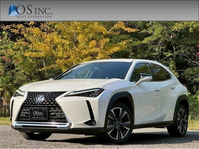 2019 Lexus UX
