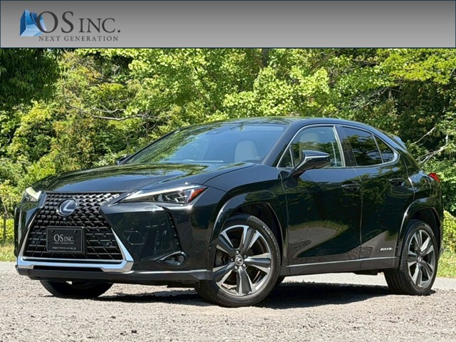 Lexus UX 1