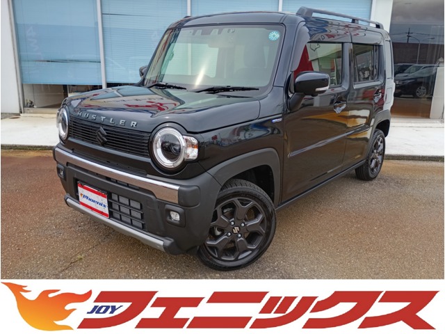 Suzuki Hustler 1