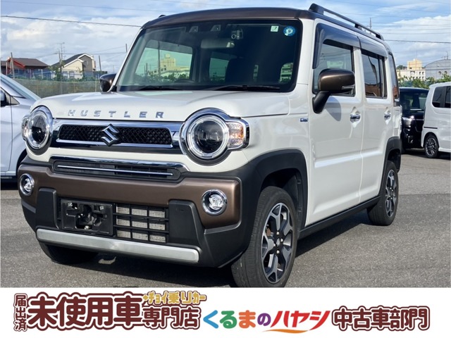 Suzuki Hustler 1