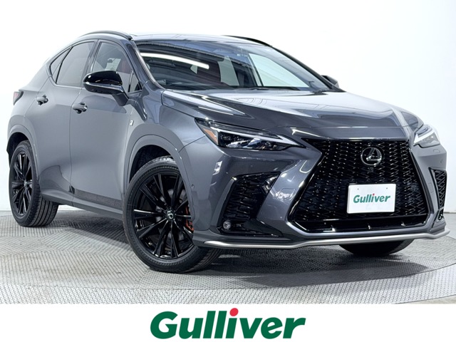 Lexus NX 1