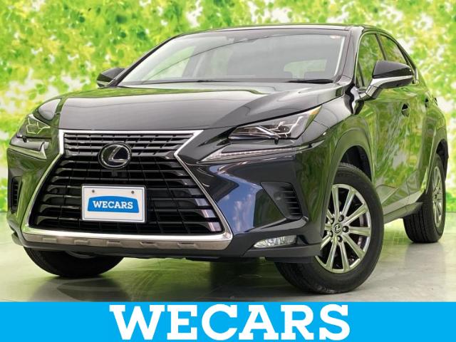 2018 Lexus NX