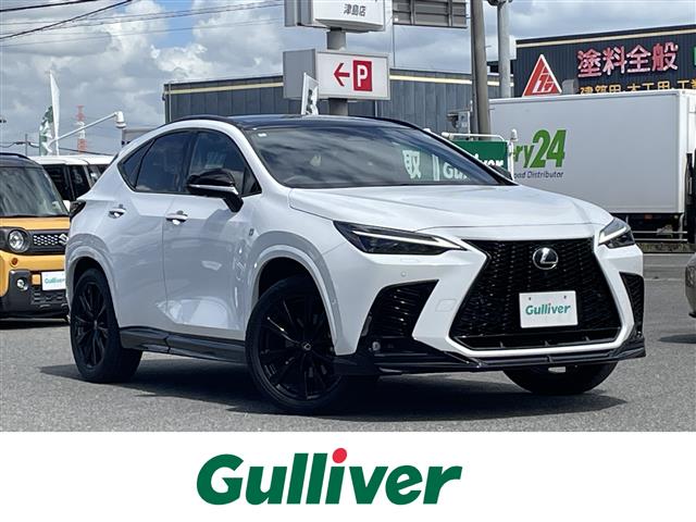 Lexus NX 1