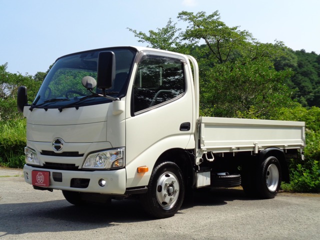 Hino Dutro 1
