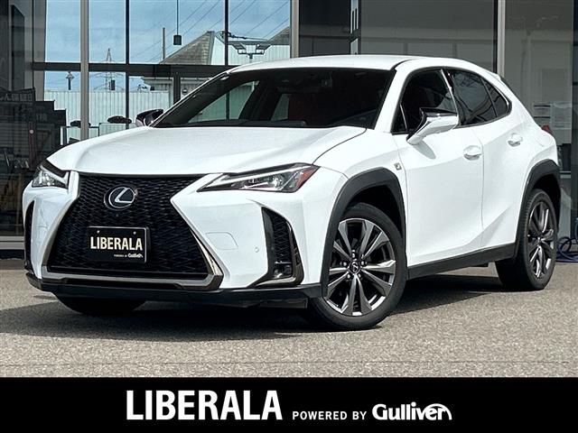 2019 Lexus UX