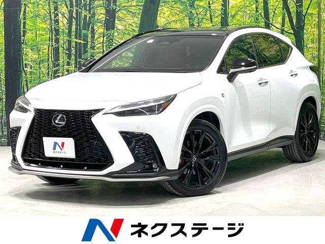 Lexus NX 1