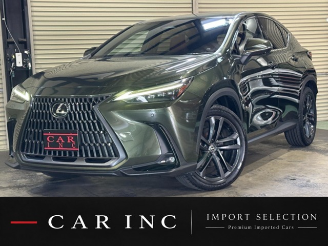Lexus NX 1