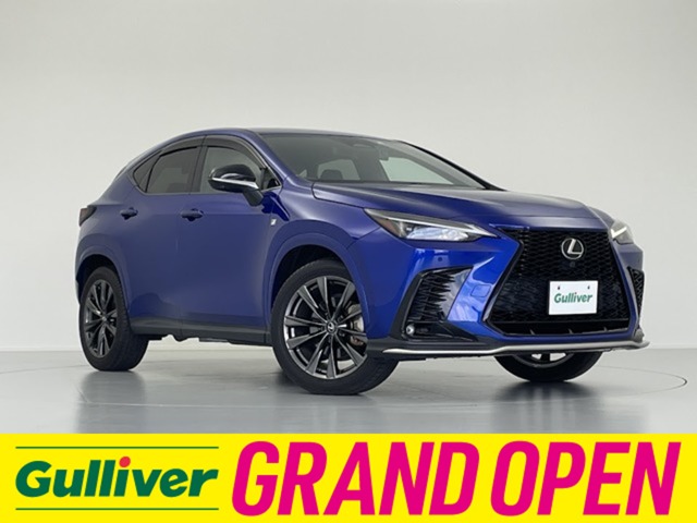 2022 Lexus NX