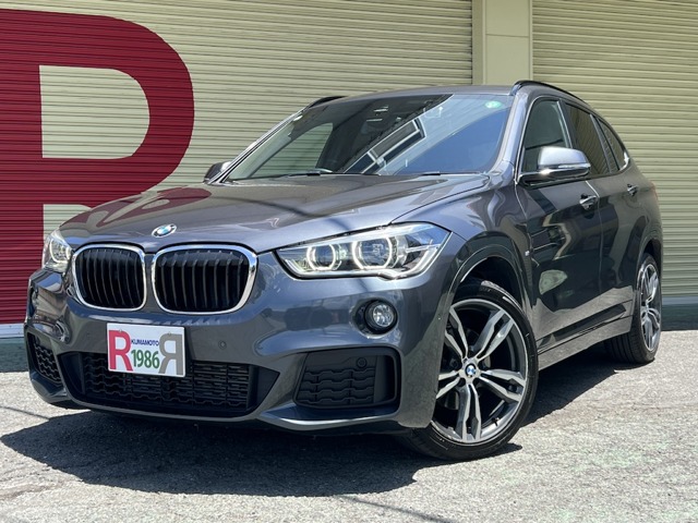 2019 BMW X1
