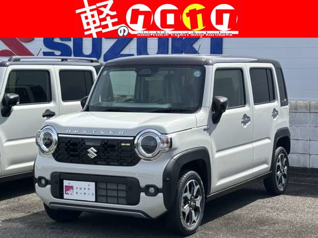 Suzuki Hustler 1