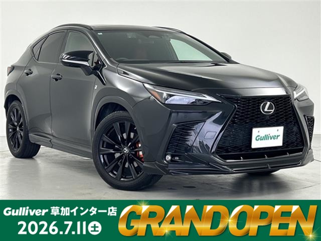 Lexus NX 1