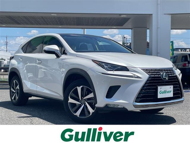 Lexus NX 1