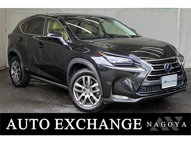 Lexus NX 1