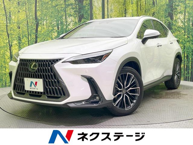 Lexus NX 1