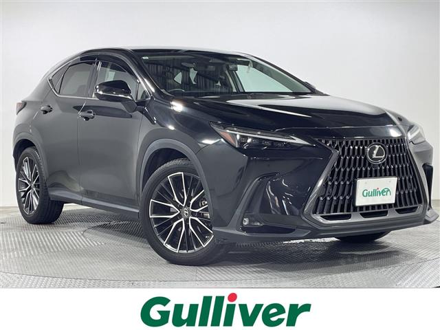 Lexus NX 1