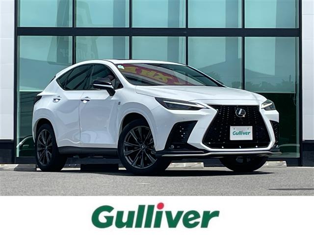 Lexus NX 1