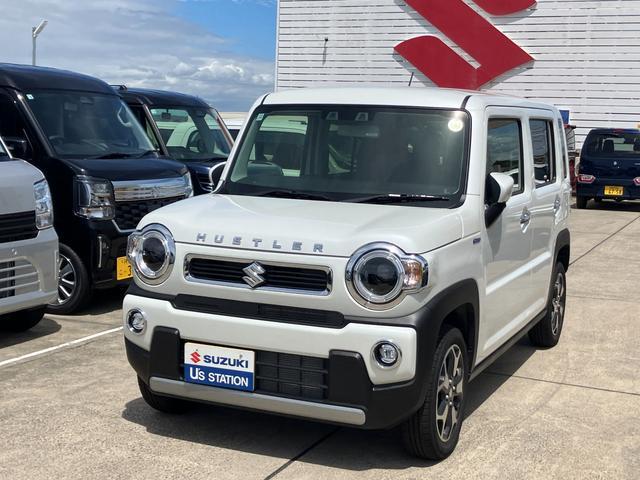 Suzuki Hustler 1