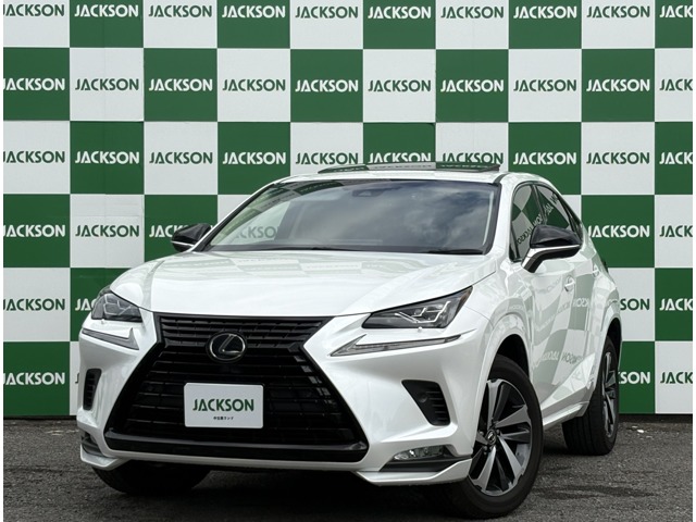 2019 Lexus NX