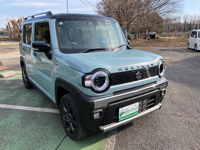 Suzuki Hustler 1