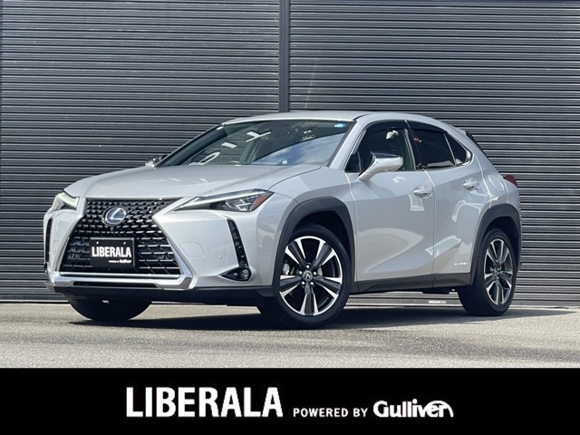 Lexus UX 1