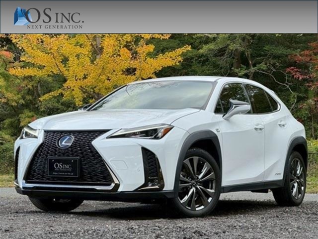 2018 Lexus UX