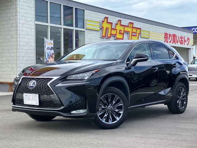 Lexus NX 1