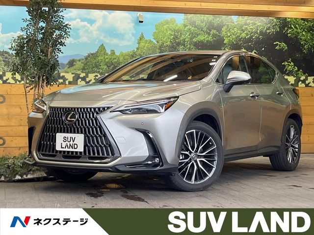 2022 Lexus NX