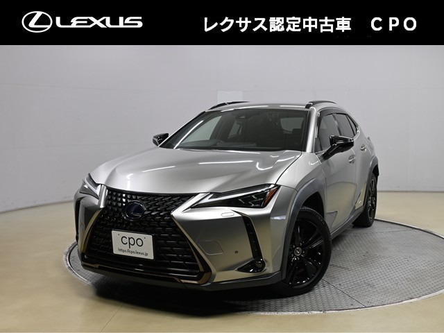 2021 Lexus UX
