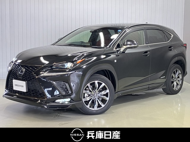 Lexus NX 1