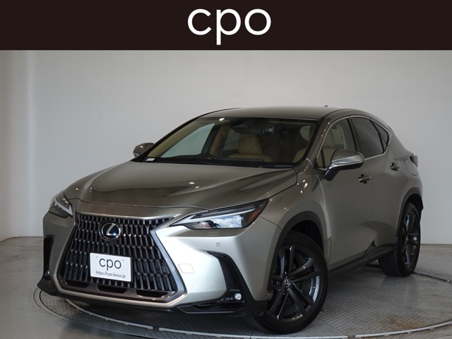 2021 Lexus NX