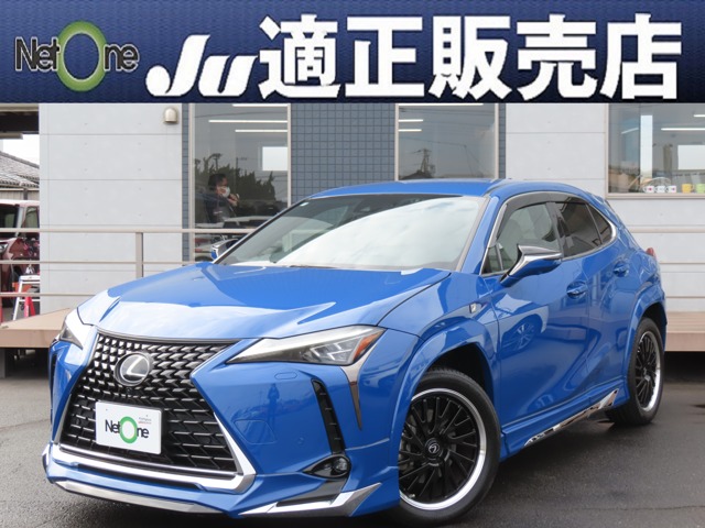 2022 Lexus UX