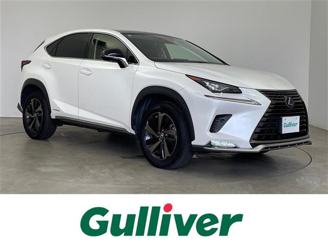 2019 Lexus NX