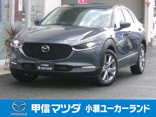 Mazda CX-30 1