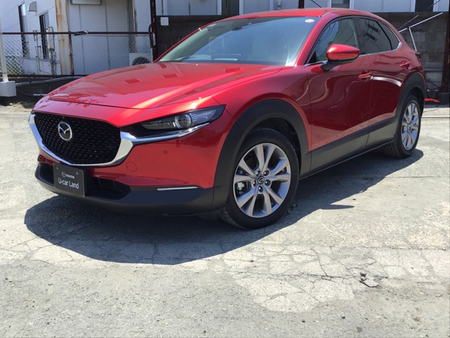 Mazda CX-30 1