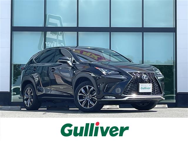 Lexus NX 1