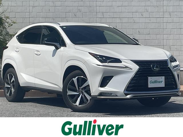 2020 Lexus NX