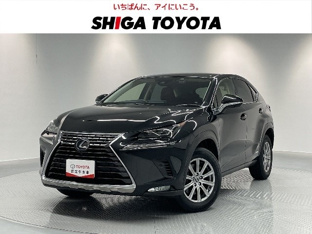 2020 Lexus NX