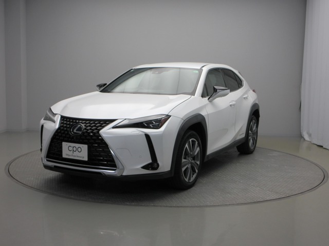 2021 Lexus UX300e