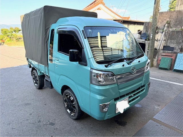 Daihatsu Hijet Truck 1
