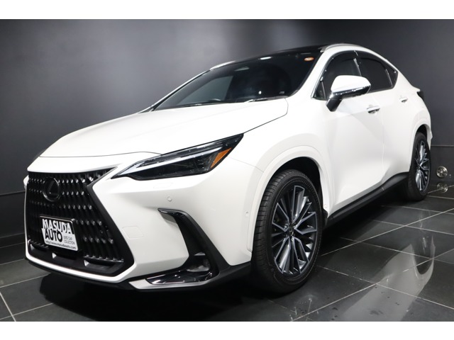 2024 Lexus NX