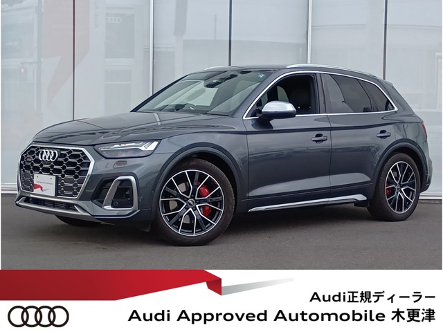 Audi SQ5 1