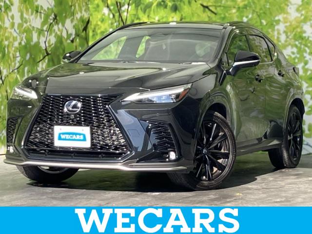 Lexus NX 1