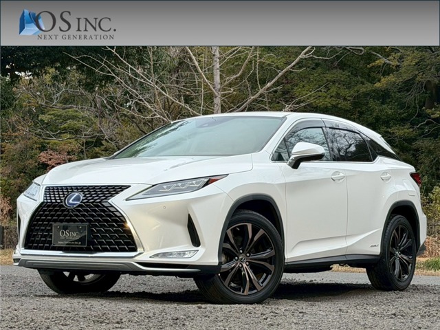 2020 Lexus RX