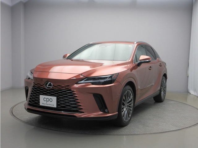Lexus RX 1