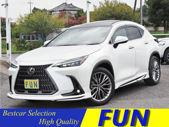 Lexus NX 1